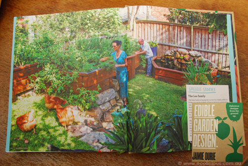 Jamie Dury - Edible Garden Design Aquaponic feature