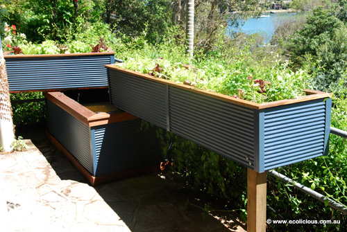 ecolicious designed a stylish, easy to maintain aquaponics system to ...