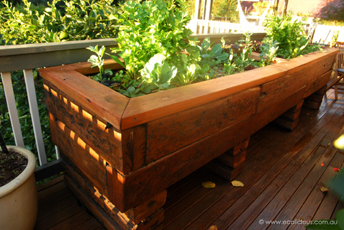 Gladesville aquaponic growbed