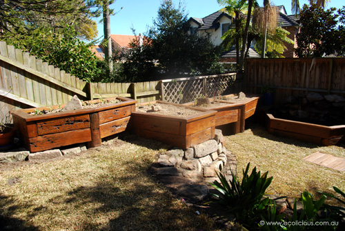 Mosman Aquaponic System