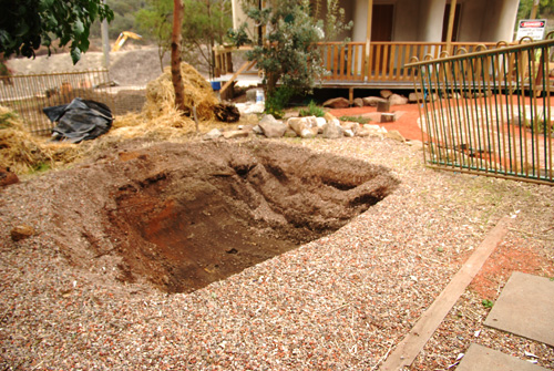 eco pond before